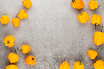 Red hot chili peppers pattern texture background.