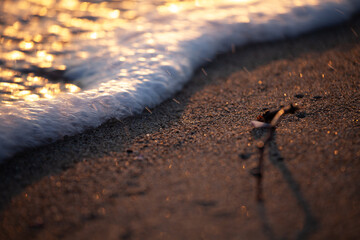 Beach Sunset