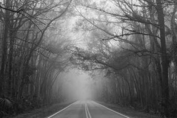 road in the fog