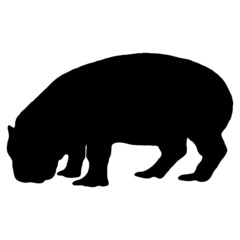 Obraz na płótnie Canvas Vector animal illustration. Black hippo on a white background.