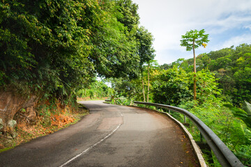 Fototapeta na wymiar Beautiful asphalt road in palm jungle.