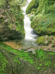 Fototapeta na wymiar Elegant waterfall in the hills of sikkim north east india