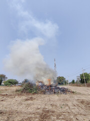 Burning wood forest fire with heavy smoke in the day land cleared for real estate