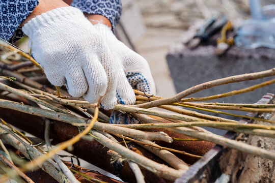 Processing of vines and branches for basket weaving. A person is dressed in special gloves that protect his hands.