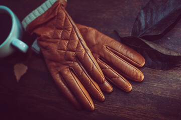 closeup photo of a pair of stylish leather gloves - 459323305