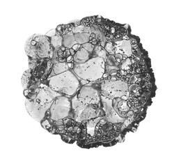 Watercolor bubble blot drop splash. Abstract texture black color stain on white background.