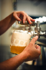 Experienced bartender pouring draft beer into a glass. Pilsner (also pilsener or simply pils) in a glass .