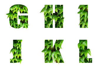 Volumetric letters of the alphabet from green leaves