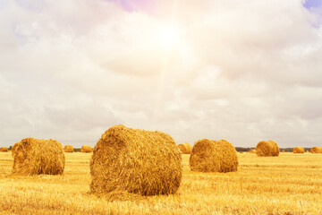 Stack of straw on the field.