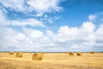 Fototapeta premium Stack of straw on the field.