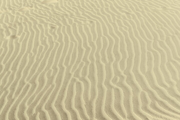 The texture of the sand dunes.
