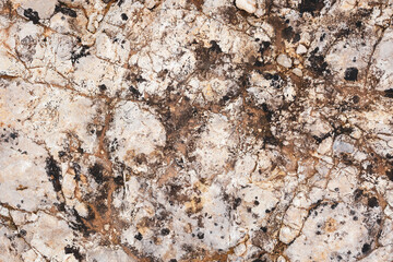 brown stone background with abstract shapes