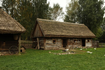 Fototapeta na wymiar Skansen, wieś, jesień, stare chaty