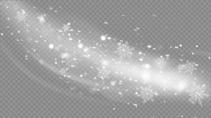 Vector snowfall isolated. Winter background. Snow overlay illustration. Snowflakes and ice.