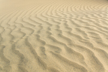 The texture of the sand dunes.