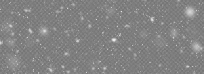 Vector snowfall isolated. Winter background. Snow overlay illustration. Snowflakes and ice.