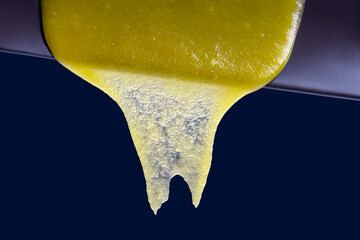 Fresh flower honey flows down from the plate. vitamin organic food
