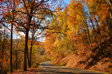 Autumn in the Shenandoah National Park