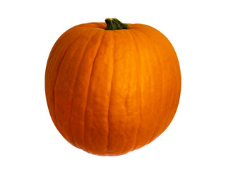 Pumpkin isolated on white background. Pumpkin for Halloween.