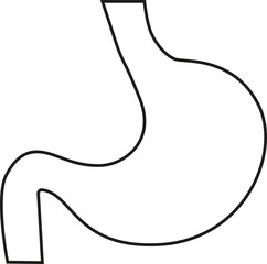 Human stomach line icon. Internal body organ vector illustration.