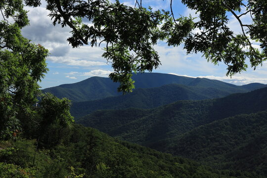 20min run mountain (Blue Ridge, VA)