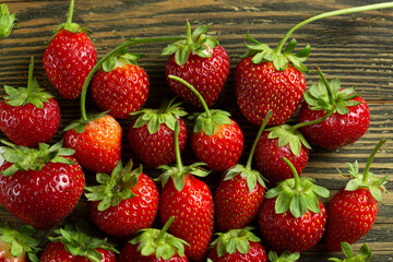 Ripe red strawberries on a tree. A good harvest of strawberries, healthy food photos. High quality photo