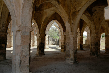 Fototapeta premium vaulted bays of great mosque of Kilwa Kisiwani