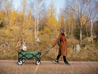 woman with a child in a wagon walking down in the forest - obrazy, fototapety, plakaty