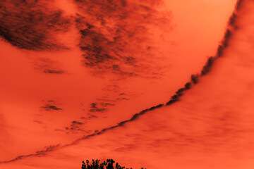 Sunset landscape with treetops  silhouettes and an arched line of clouds. Selective focus.