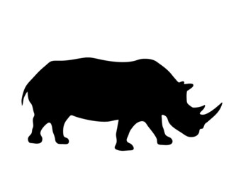 rhino féroce