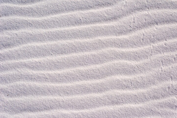 Fototapeta na wymiar Windswept Sand on the Gulf Islands National Seashore