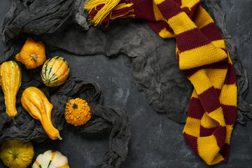 Subjects of the school of magic and pumpkins. Scarf, magic wand, book of spells on grey dark rag background.