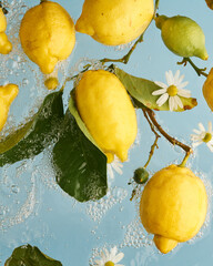 Yellow ripe lemons with leaves and chamomilein  flowers water on blue background. Food photo pattern. Natural colors