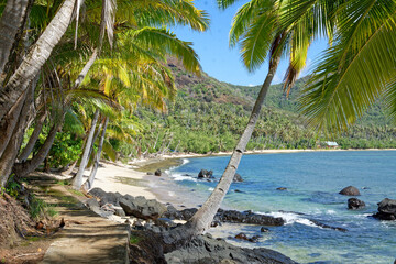 plage de anaho, iles marquises, polynesie francaise. eau translucide, plage déserte