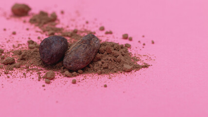 Chocolate, cocoa beans, cocoa powder on a pink background