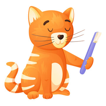 Vector isolated illustration of cartoon cute cat with toothbrush.