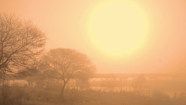 Slow-motion long shot musty sunset with tree and bridge in Pakistan