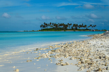 beach with palmes on Maldives