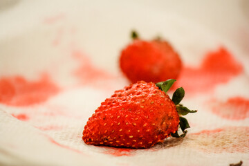 Moldy strawberries ready to thrown out  