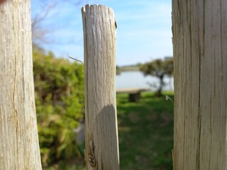 fence on a beach