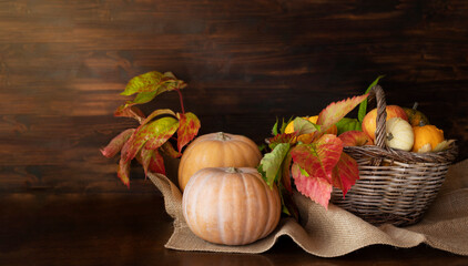 Pumpkins and basket of apples and small decorative pumpkins on wooden table against wooden background
