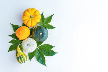 Top view of group of pumpkins on white background