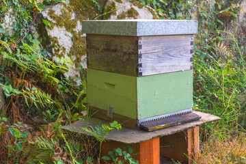 Beehive for the extraction of honey.