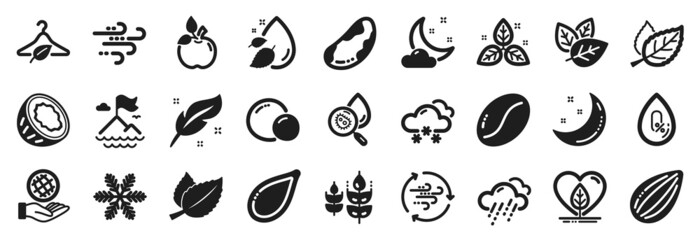 Set of Nature icons, such as Almond nut, Water analysis, Organic tested icons. No alcohol, Leaf, Windy weather signs. Slow fashion, Brazil nut, Snow weather. Gluten free, Snowflake, Peas. Vector