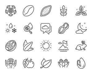 Vector set of Fair trade, Mountain flag and Coffee beans line icons set. Weather, Peanut and No alcohol icons. Organic tested, Gluten free and Cocoa nut signs. Fair trade web symbol. Vector