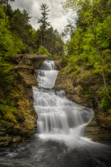 Long Exposure Waterfall and Forest