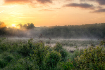 Sunrise over a Swampy Field with Morning Mist