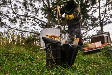 beekeeper smoker. a device for calming bees with smoke. in the background a beekeeper with a bee frame near the hive with bees.