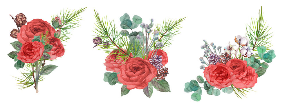 set of Christmas winter bouquets with red roses and fir branches with pine cones painted in watercolor isolated on white background for greeting cards and other design
