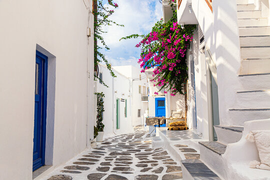 Fototapeta Famous old town narrow street with white houses and Bougainvillea flower. Mykonos island, Greece